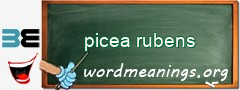 WordMeaning blackboard for picea rubens